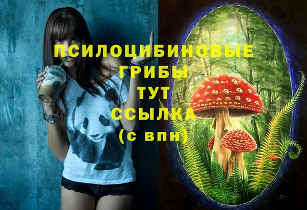 тгк Киреевск