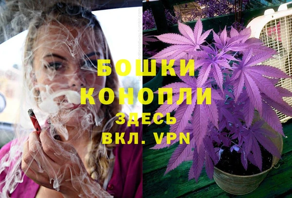 MDMA Premium VHQ Козловка