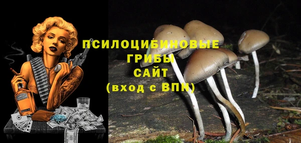 гидропоника Козельск