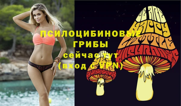 MDMA Premium VHQ Козловка
