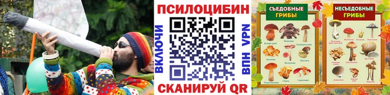 Купить где  Ленинск-Кузнецкий  Галлюциногенные грибы MAGIC MUSHROOMS 